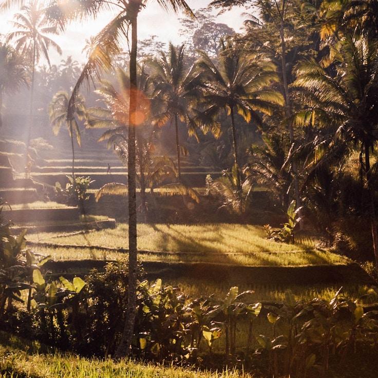 Kids playground area in Portugal