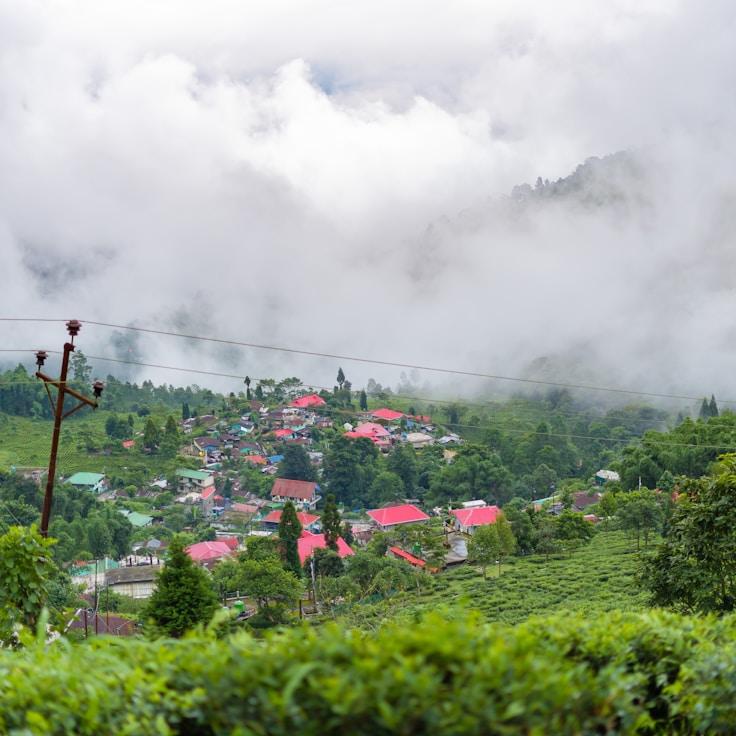 Outdoor terrace seating suitable for families in Lisbon